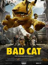 Bad Cat
